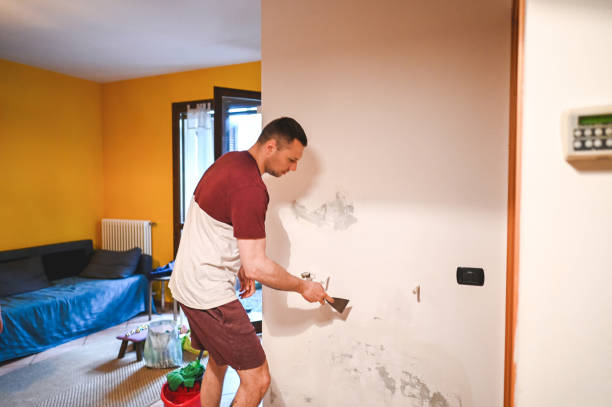 Best Home Mold Removal  in Pagedale, MO