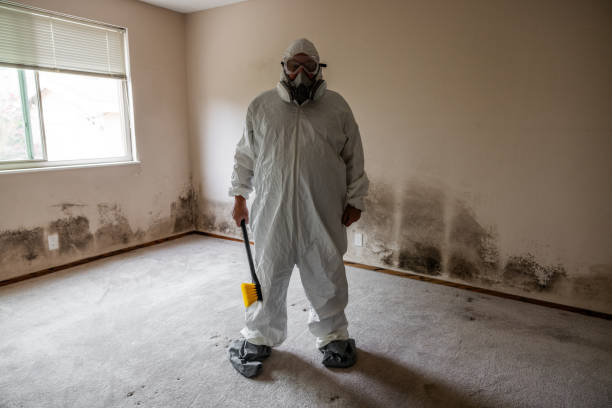 Crawl Space Mold Removal in Pagedale, MO